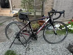 m41084783656_1.jpg?1694922199
