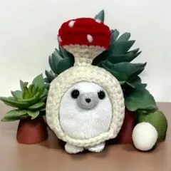ミニビーンズ あざらし ぬい服 ぬい活 茸 きのこ あみぐるみ ぬい活 ぬい服A