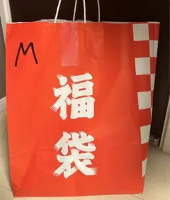 【超激レア】山本KID 山本美憂　マリア直筆サイン入りバック 2025年最新】山本美憂 サインの人気アイテム - メルカリ