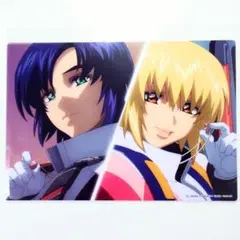 ハウメアの譲り石　ガンダムseed gundam seed  haumea m33191931834_1.jpg?1741530581