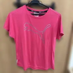 Puma トレーニング Tシャツ ピンク