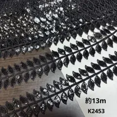 ケミカルレース　約13m
