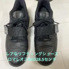 ☆美品 希少☆ NIKE Romaleos 3 ナイキ ロマレオス 3 26.0 Nike Romaleos 3XD Weightlifting Shoes