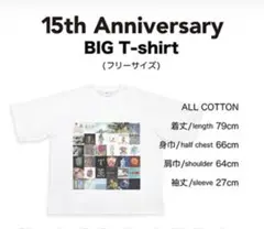 2025年最新】radwimps t 15周年の人気アイテム - メルカリ