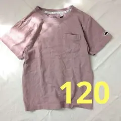 120 フルーツオブザルーム くすみピンク Tシャツ 半袖 刺繍
