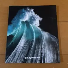 patagonia 2023 カタログ