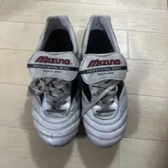 モレリア2ジャパン タン付き