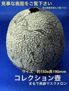 Item thumbnail for item f0314197-4c6b-4643-a948-ba0d88a183b6
