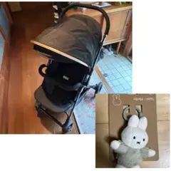 Item thumbnail for item 1adb3409-b00e-47e1-a42b-23ca3a65813e