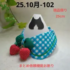 Item thumbnail for item 04cc59a6-aafa-4a25-a5fa-46dcfd23ff19