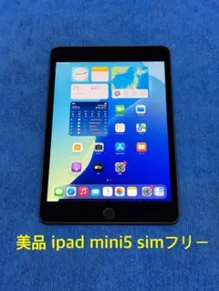 iPad mini 第5世代 Wi-Fi+Cellular 64GBグレイ45