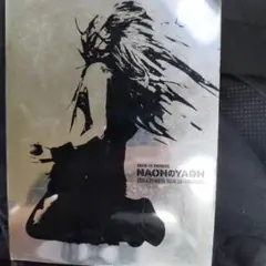 Item thumbnail for item cd1345b5-37e8-47c9-b6ef-99a13042512c