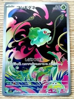 フシギダネ ARカード HP80