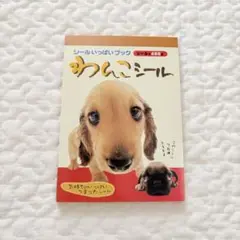 Item thumbnail for item 7f3b4047-6ed0-4048-ac6b-a6549439f40d