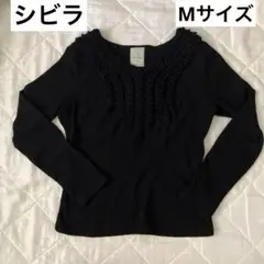 Item thumbnail for item ce47dfe1-c04f-4c6a-aa86-063ce304d4aa