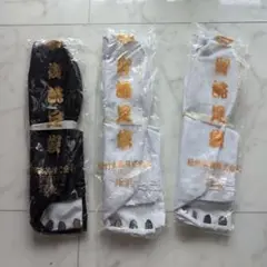 Item thumbnail for item b51b88be-2864-4bb8-9093-a851edb95fa9