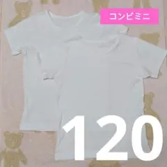 Item thumbnail for item f4d9e7ea-13e2-4794-ad33-51265450324f