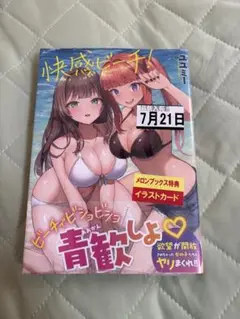 新品未開封　快感ビーチ