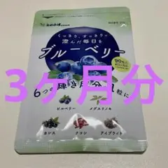 ブルーベリー シードコムス 3ヶ月分 90粒入り ビタミンB ビルベリー