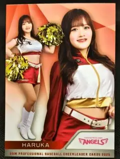 Item thumbnail for item 89fa95c4-9655-4570-875f-9f51055e40d4