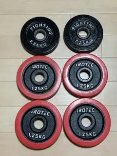 IROTEC アイロテック　ラバープレート　1.25kg ダンベル