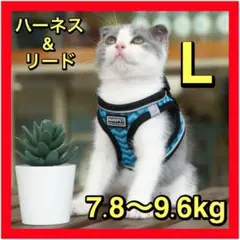 Item thumbnail for item 345a31b0-6bc1-49d1-867b-655419c5d229