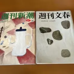 週刊新潮・週刊文春 5月29日号 2冊セット　玉城ティナ