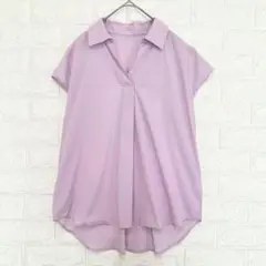 大きいサイズ エルガナ ブラウス ゆったり スキッパー 綿 紫 ☆K1136