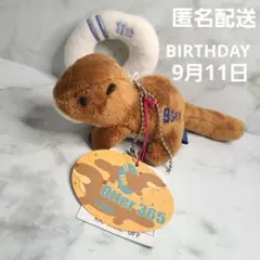 カワウソ Otter365　ぬいぐるみ　テイクオフ 【9月】マスコット　匿名配送