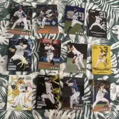 プロ野球チップス　2025 カード12枚セット