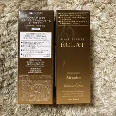 ヘアボーテ エクラ ボタニカルエアカラーフォーム ダークブラウン 2本セット