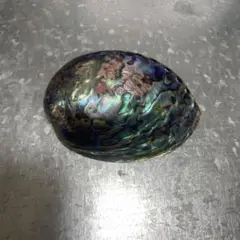 アバロンシェル