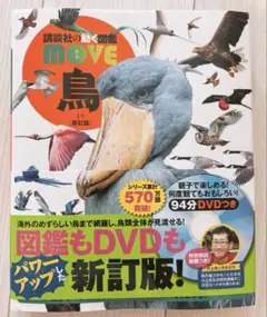 Item thumbnail for item 37923816-9401-4587-acbd-f28f552eda9a