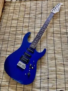 ☆値下げ　☆美品　カスタマイズしたChattingBird ST m41143207612_1.jpg?1704787873