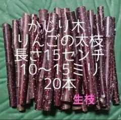 Item thumbnail for item 276ef212-57a8-4a25-9370-374455c40832