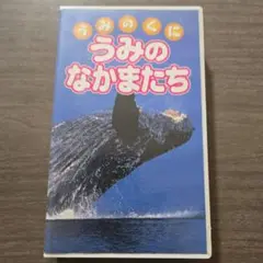 うみのなかまたち　ビデオ
