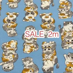 SALE 2m ぎゅうぎゅう猫 ブルー オックス