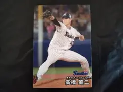 高橋奎二 東京ヤクルトスワローズ カルビー