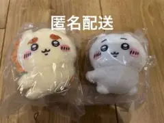 Item thumbnail for item 45b51410-4601-4157-91ae-b4fb867c1227