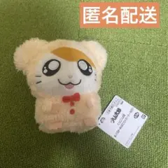 とっとこハム太郎　みんなでパジャマパーティーなのだぬいぐるみ　ハム太郎