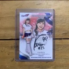 Item thumbnail for item 54124ac6-29b7-45f9-90d5-3d8a4dbcf5ef