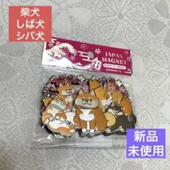 新品未使用 柴犬 しば犬 シバ犬 マグネット 犬 日本製 キラキラ 桜