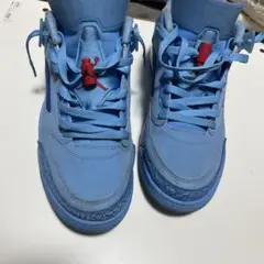 Air Jordan 3 ライトブルー　スパイジーク箱無し