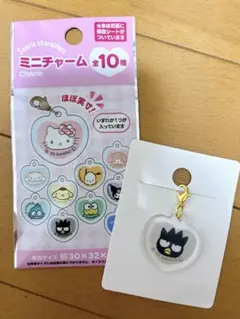 サンリオ ミニチャーム