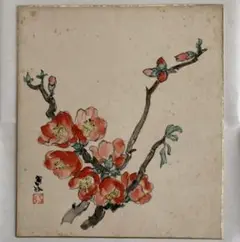 石川寅治 色紙 肉筆画