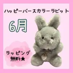 ハッピーバースカラーラビット　6月　パールカラー