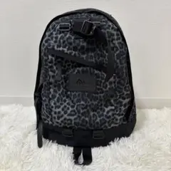 【美品】GREGORY FINEDAY バックパック リュック
