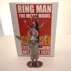 野口哲哉　メタルフィギュア　RING MAN 2025年最新】野口哲哉の人気アイテム - メルカリ