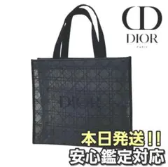Item thumbnail for item a00556b8-4732-4aa0-9dad-e15ca28dea72