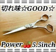 Item thumbnail for item 59bcfdf0-a66a-4d4b-b718-08bdbb980bd4